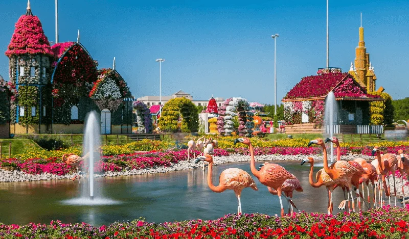 10 Best Places to Visit in Dubai 9 Dubai Miracle Garden